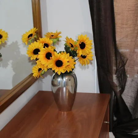 Apartmán Cigi Afantou